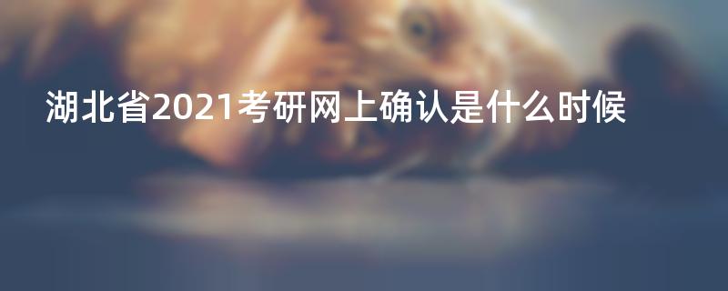 湖北省2021考研网上确认是什么时候