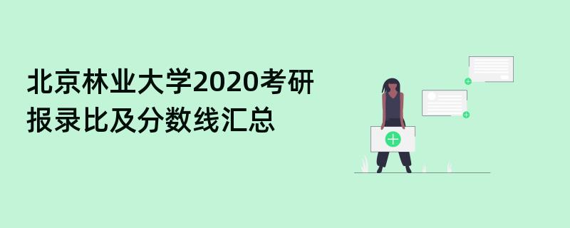 北京林业大学2020考研,报录比及分数线汇总