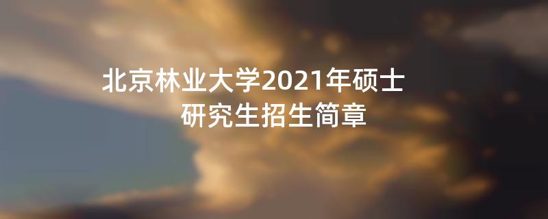 北京林业大学2021年硕士研究生江南网网站登录
