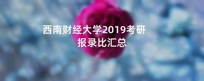 西南财经大学2019考研,报录比汇总