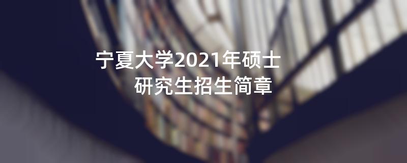宁夏大学2021年硕士研究生江南网网站登录