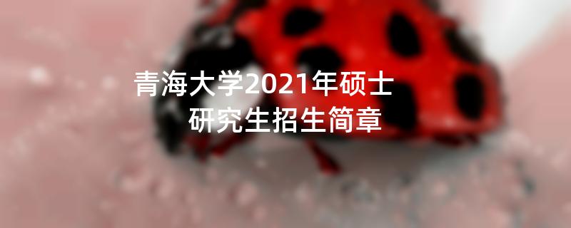 青海大学2021年硕士研究生江南网网站登录