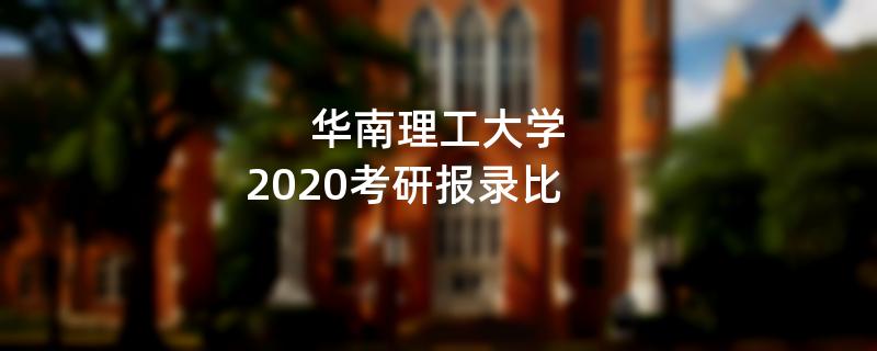 华南理工大学,2020考研报录比